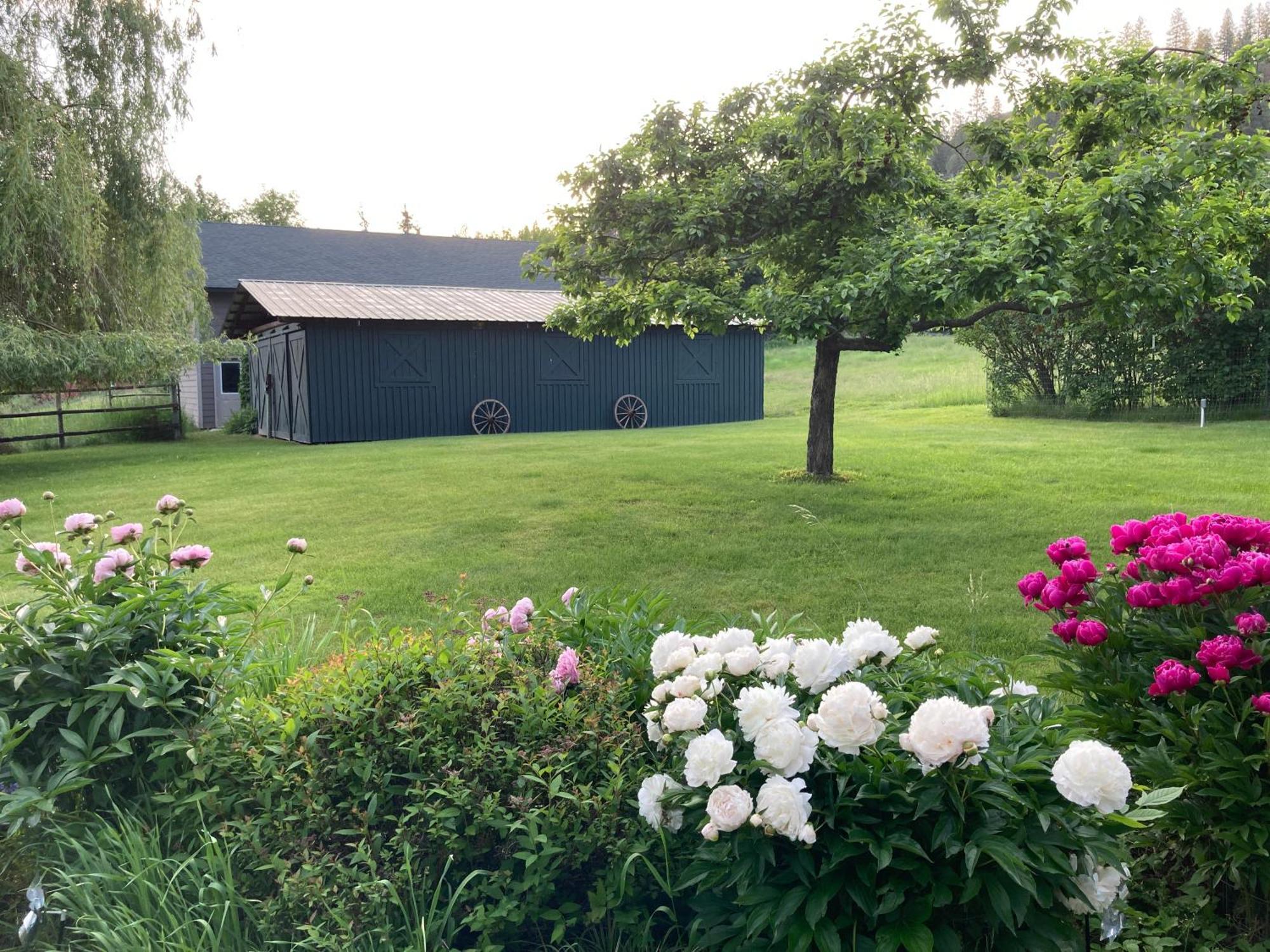 Hideaway Ranch Pensionat Bonners Ferry Exteriör bild