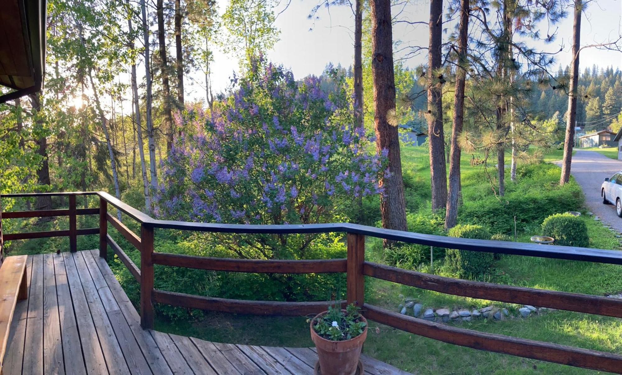 Hideaway Ranch Pensionat Bonners Ferry Rum bild