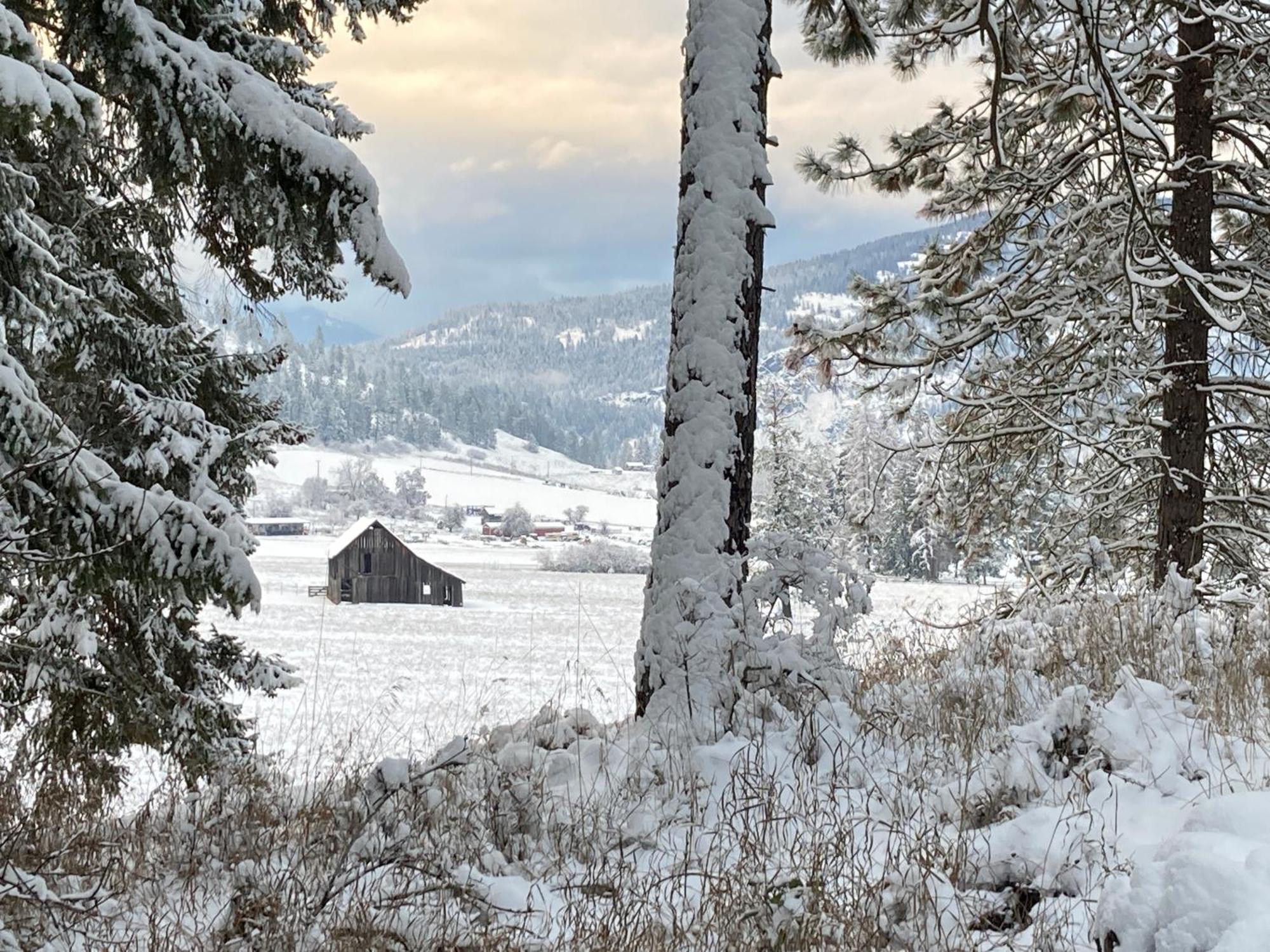 Hideaway Ranch Pensionat Bonners Ferry Rum bild