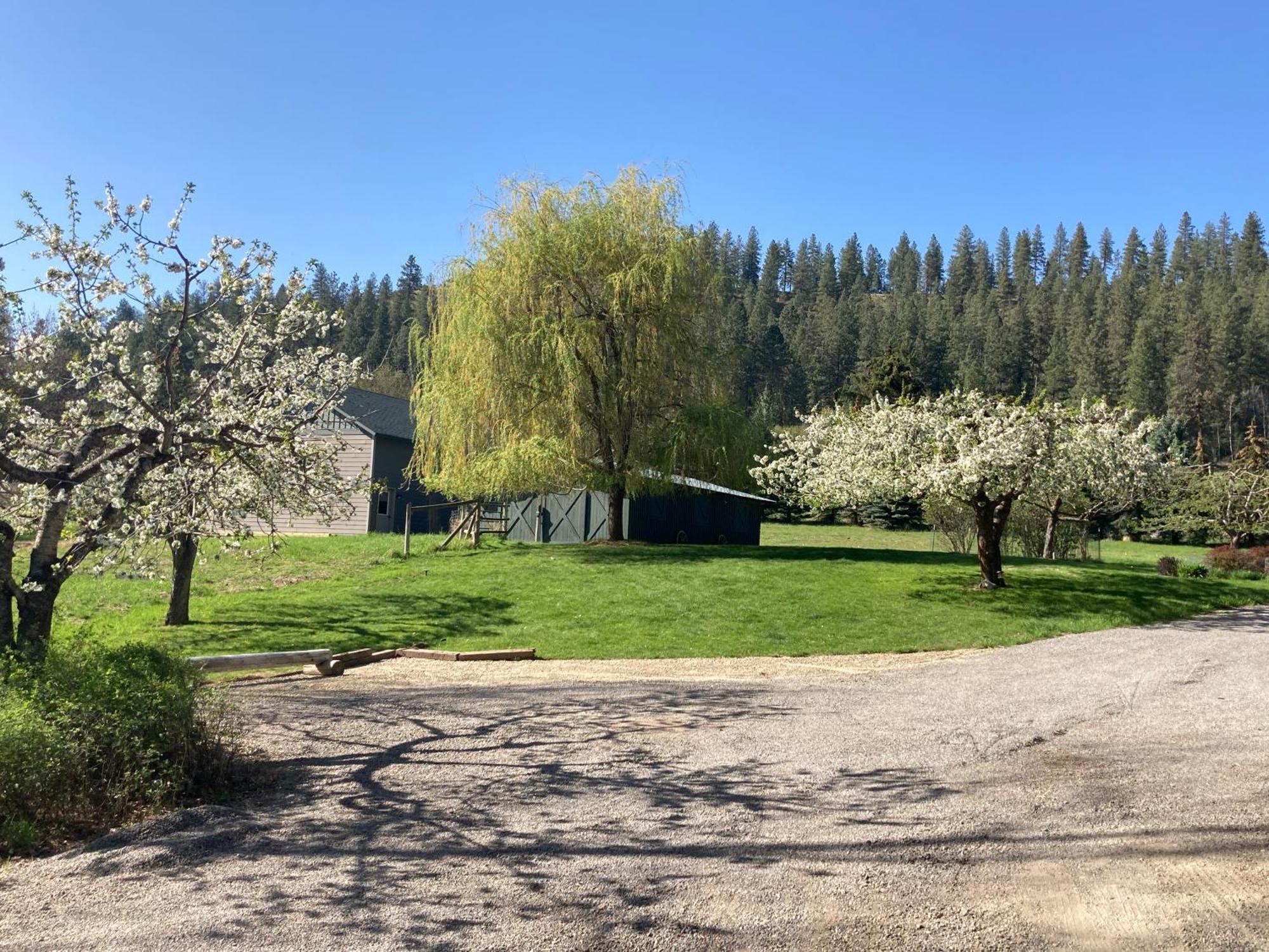 Hideaway Ranch Pensionat Bonners Ferry Rum bild