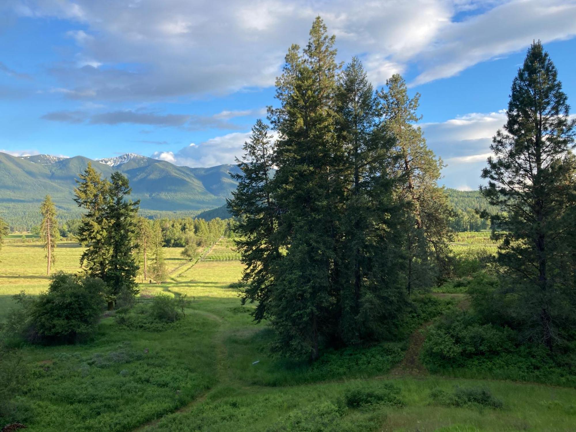 Hideaway Ranch Pensionat Bonners Ferry Exteriör bild